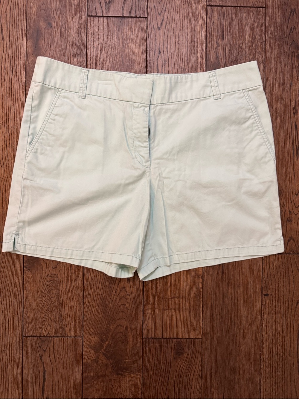 Loft Women's Light Mint Casual Shorts